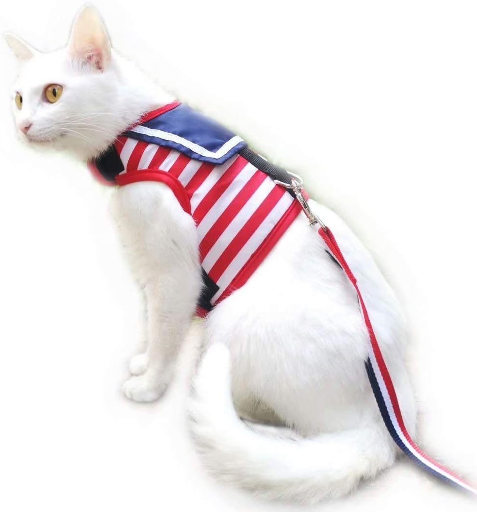 Cat Harness and Leash Set for Walking Escape Proof, Blue, Large | No Over-the-head, Easy on or off, for Average to Large Cat Walks, Vest Style, Adjustable Hook and Loop, Lightweight