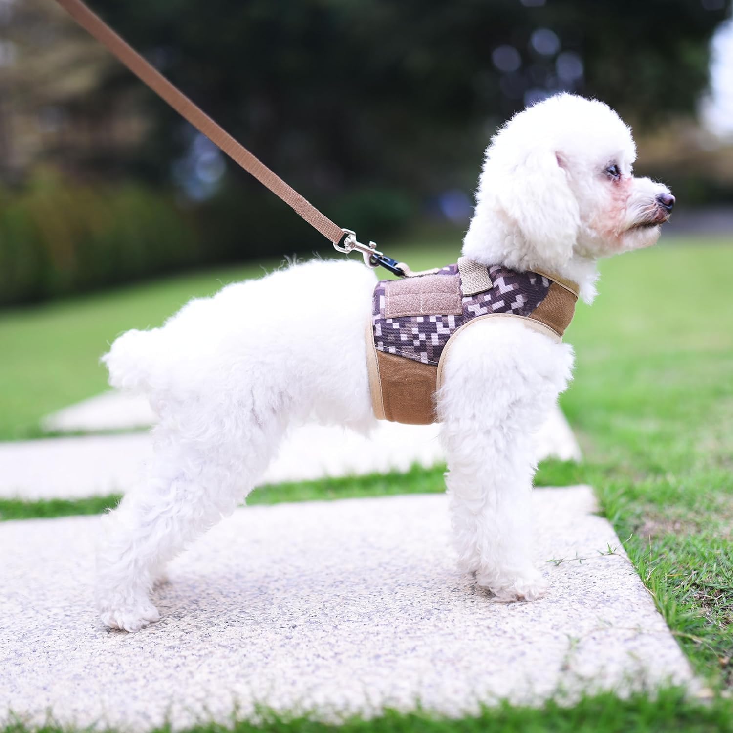 Small Dog Harness and Leash Set Small Pet Harness for Winter, Adjustable Soft Padded Dog Vest for Poodle, Pomeranian, Chihuahua, Minlature Pinscher Under 13LBS, Polka Black