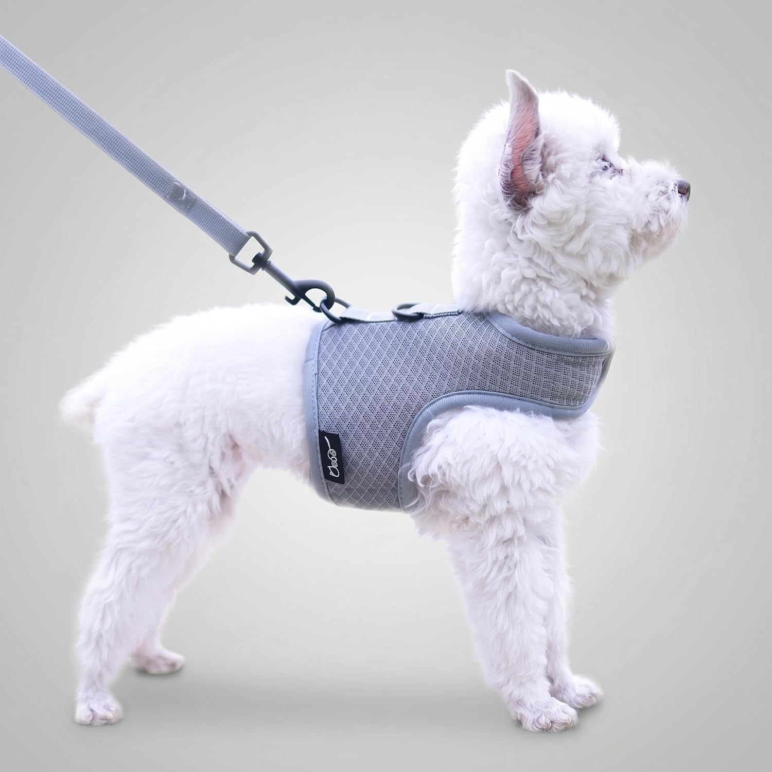 Small Dog Harness and Leash Set Small Pet Harness for Winter, Adjustable Soft Padded Dog Vest for Poodle, Pomeranian, Chihuahua, Minlature Pinscher Under 13LBS, Polka Black