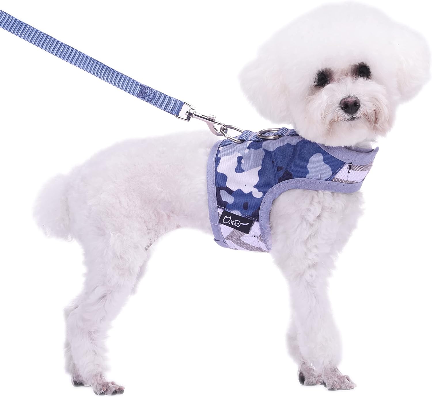 Small Dog Harness and Leash Set Small Pet Harness for Winter, Adjustable Soft Padded Dog Vest for Poodle, Pomeranian, Chihuahua, Minlature Pinscher Under 13LBS, Polka Black