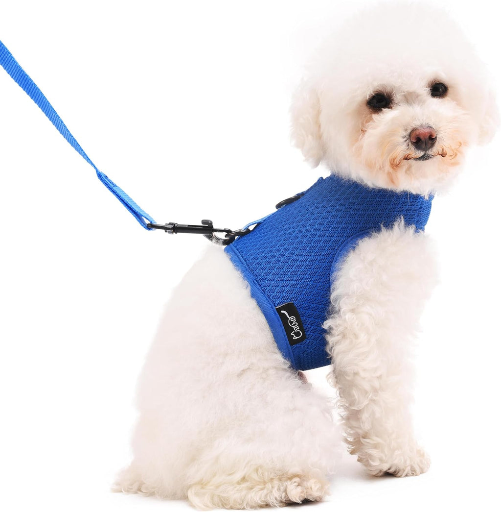 Small Dog Harness and Leash Set Small Pet Harness for Winter, Adjustable Soft Padded Dog Vest for Poodle, Pomeranian, Chihuahua, Minlature Pinscher Under 13LBS, Polka Black