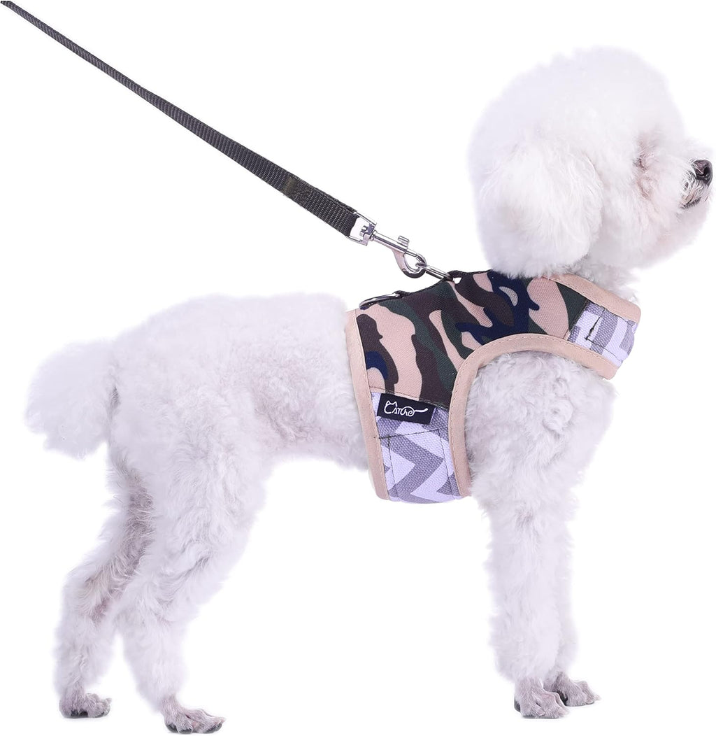 Small Dog Harness and Leash Set Small Pet Harness for Winter, Adjustable Soft Padded Dog Vest for Poodle, Pomeranian, Chihuahua, Minlature Pinscher Under 13LBS, Polka Black