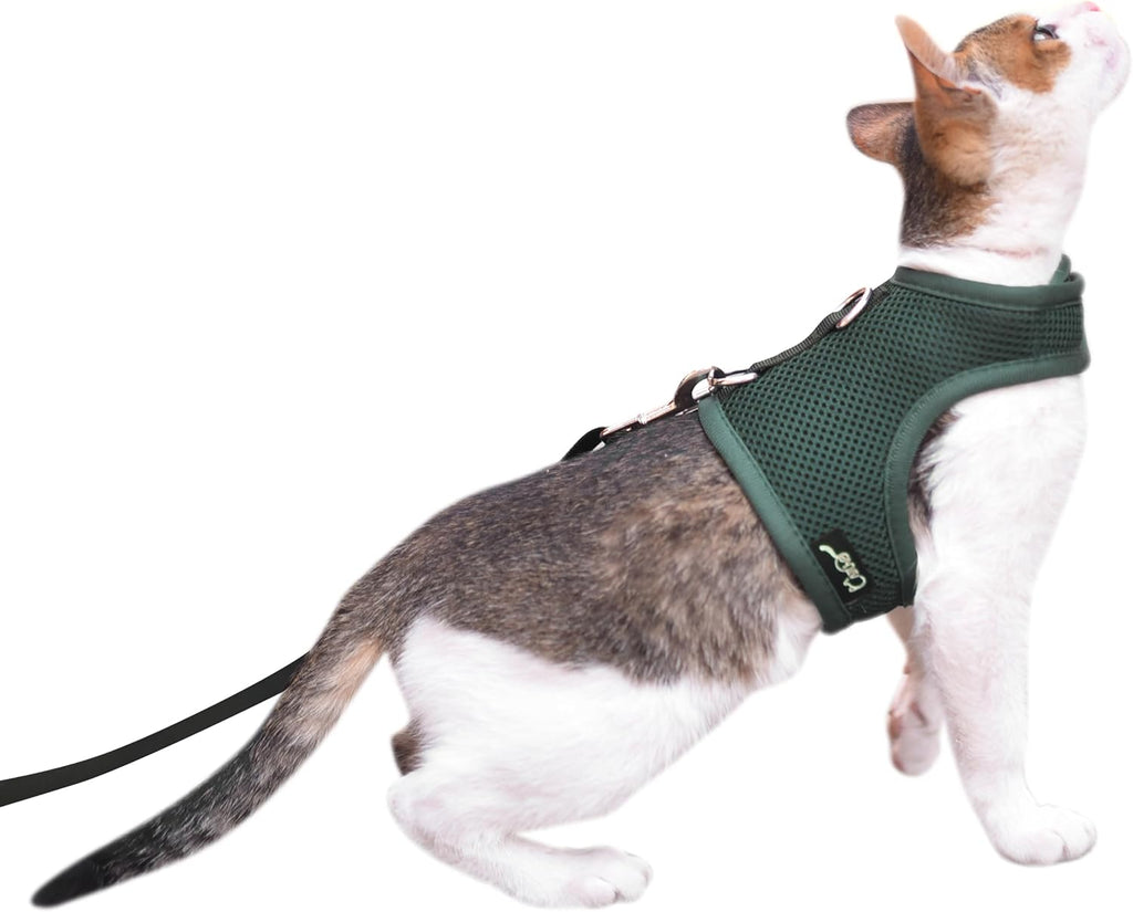 Cat Harness and Leash Set for Walking Escape Proof, Blue, Large | No Over-the-head, Easy on or off, for Average to Large Cat Walks, Vest Style, Adjustable Hook and Loop, Lightweight