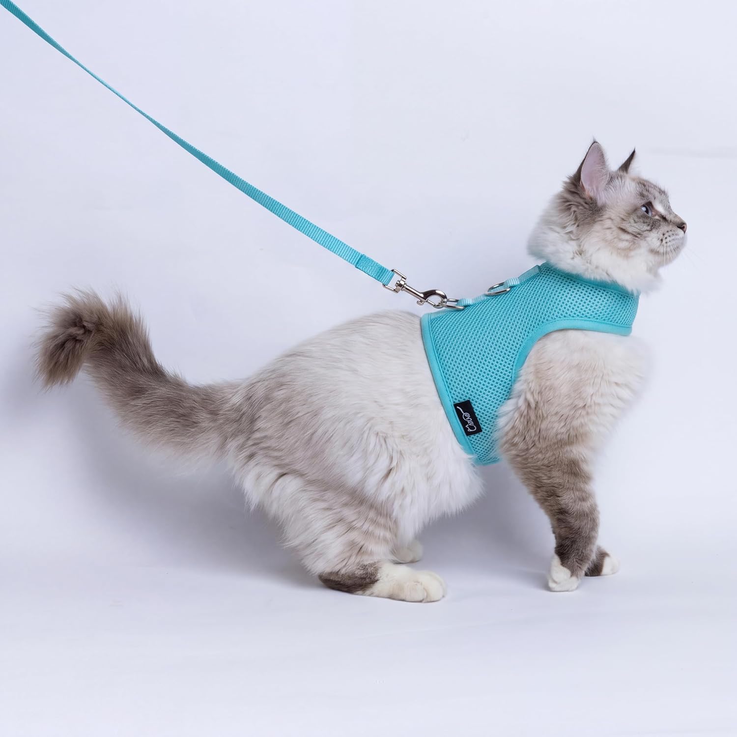 Cat Harness and Leash Set for Walking Escape Proof, Purple, Medium | No Over-the-head, Easy on or off, for Small to Average Cat Walks, Vest Style, Adjustable Hook and Loop, Soft, Lightweight