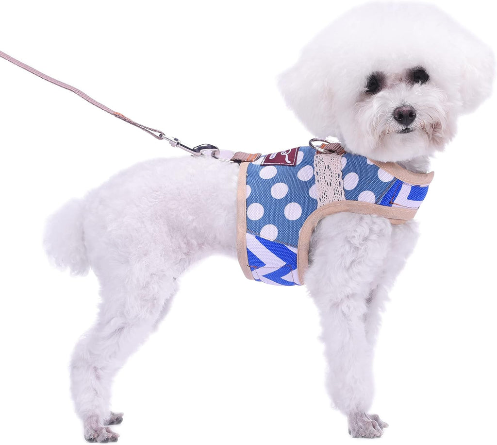 Small Dog Harness and Leash Set Small Pet Harness for Winter, Adjustable Soft Padded Dog Vest for Poodle, Pomeranian, Chihuahua, Minlature Pinscher Under 13LBS, Polka Black