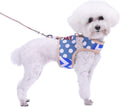 Small Dog Harness and Leash Set Small Pet Harness for Winter, Adjustable Soft Padded Dog Vest for Poodle, Pomeranian, Chihuahua, Minlature Pinscher Under 13LBS, Polka Black