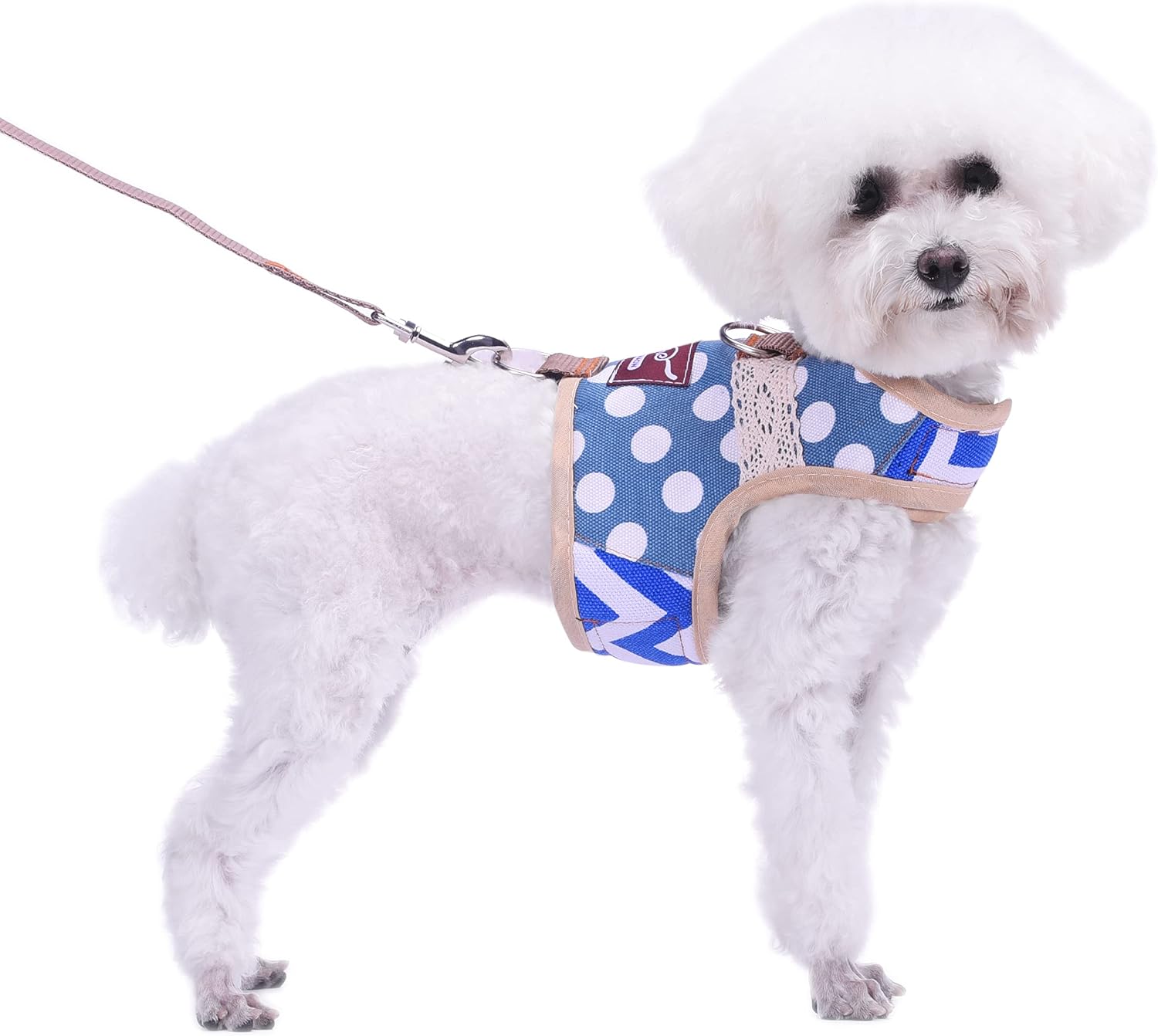 Small Dog Harness and Leash Set Small Pet Harness for Winter, Adjustable Soft Padded Dog Vest for Poodle, Pomeranian, Chihuahua, Minlature Pinscher Under 13LBS, Polka Black