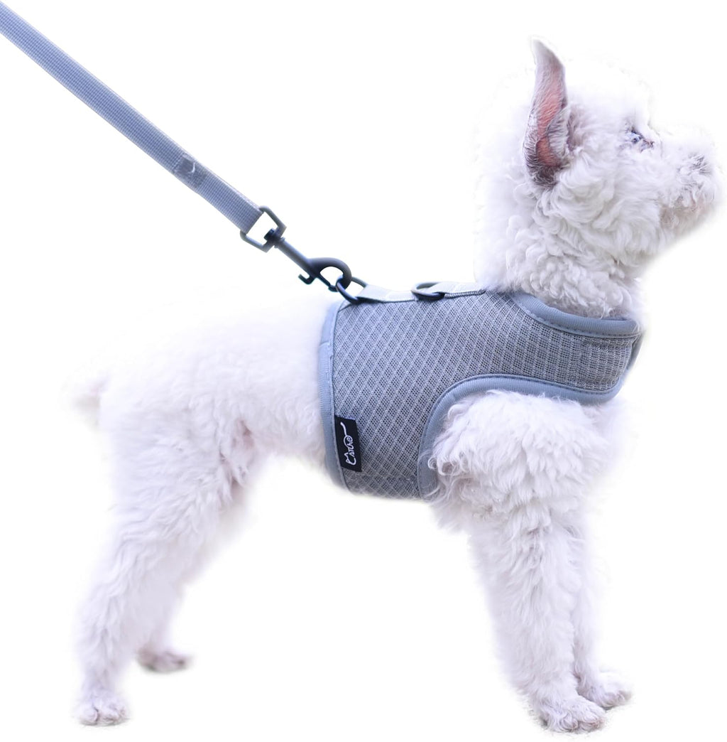 Small Dog Harness and Leash Set Small Pet Harness for Winter, Adjustable Soft Padded Dog Vest for Poodle, Pomeranian, Chihuahua, Minlature Pinscher Under 13LBS, Polka Black