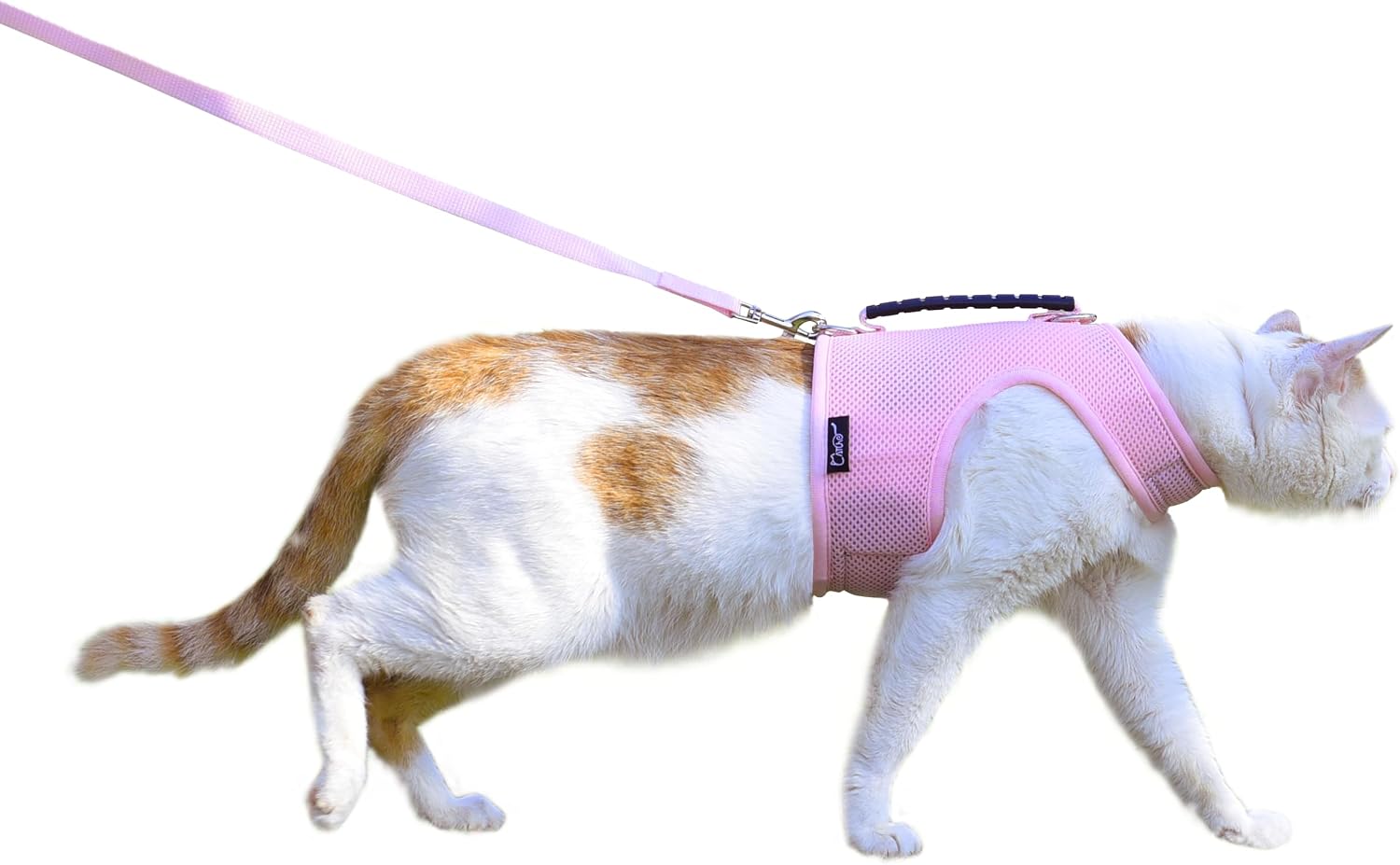 Cat Harness and Leash Set for Walking Escape Proof, Khaki, Large | No Over-the-head, Easy On or OFF, for Average to Large Cat Walks, Vest Style, Adjustable Hook and Loop, Lightweight