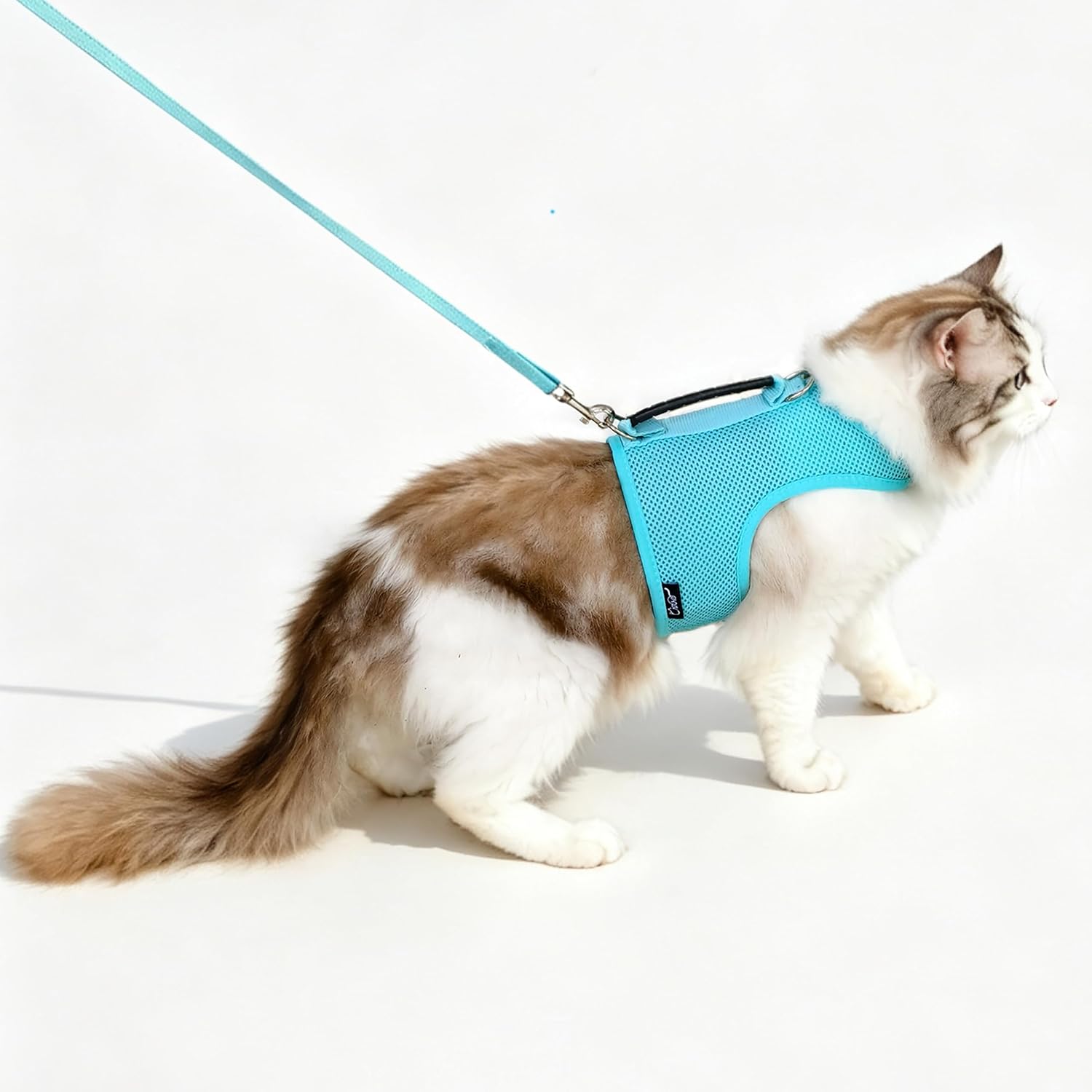 Cat Harness and Leash Set for Walking Escape Proof, Khaki, Large | No Over-the-head, Easy On or OFF, for Average to Large Cat Walks, Vest Style, Adjustable Hook and Loop, Lightweight