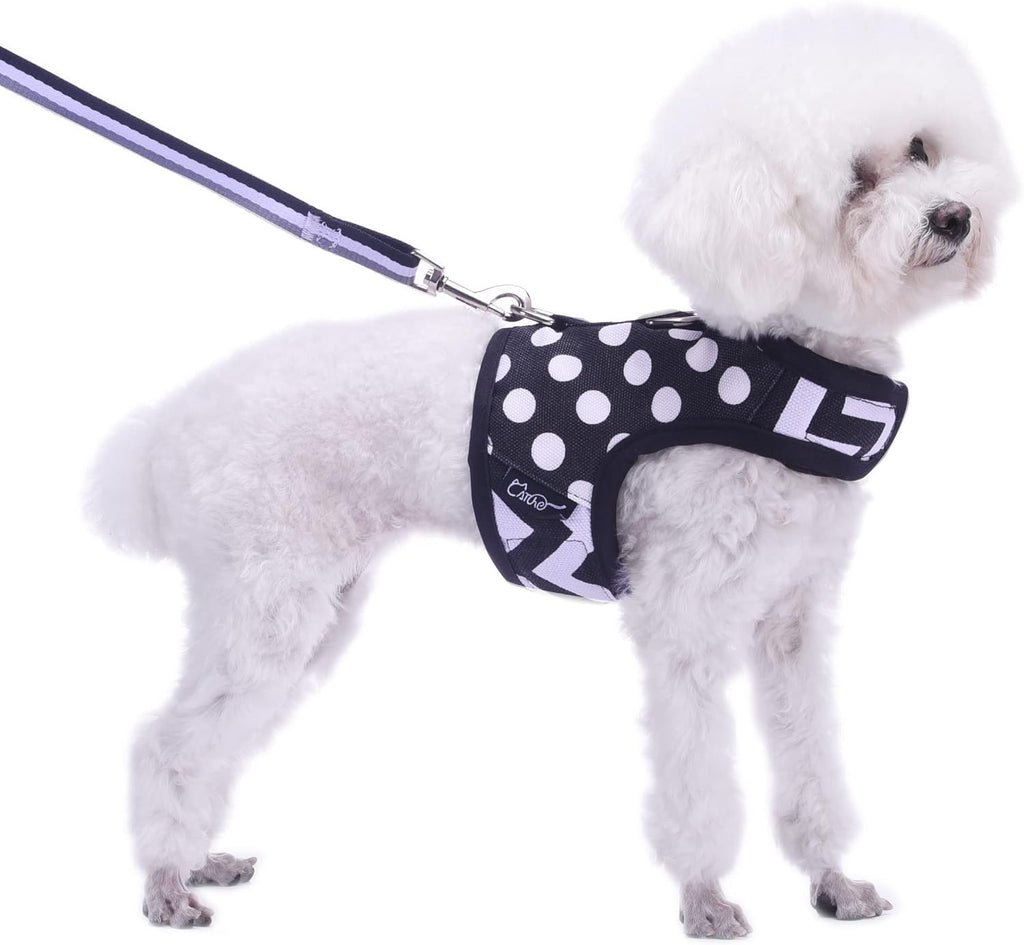 Small Dog Harness and Leash Set Small Pet Harness for Winter, Adjustable Soft Padded Dog Vest for Poodle, Pomeranian, Chihuahua, Minlature Pinscher Under 13LBS, Polka Black