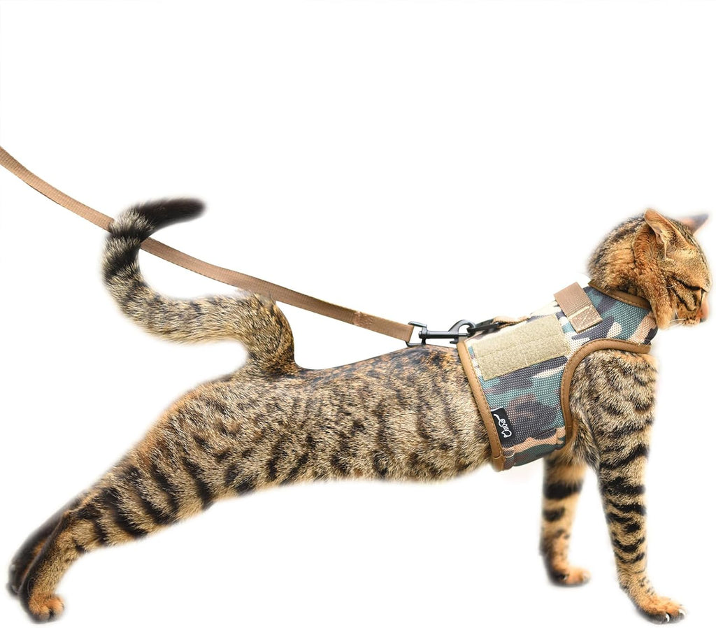 Cat Harness and Leash Set for Walking Escape Proof, Blue, Large | No Over-the-head, Easy on or off, for Average to Large Cat Walks, Vest Style, Adjustable Hook and Loop, Lightweight