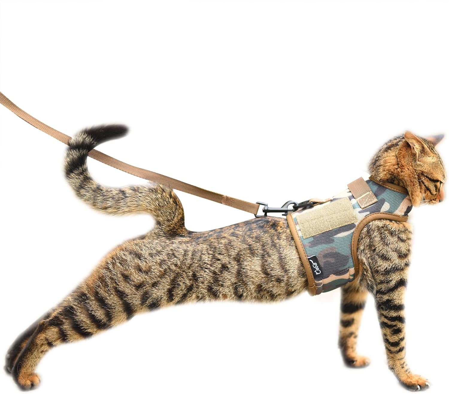 Cat Harness and Leash Set for Walking Escape Proof, Blue, Large | No Over-the-head, Easy on or off, for Average to Large Cat Walks, Vest Style, Adjustable Hook and Loop, Lightweight