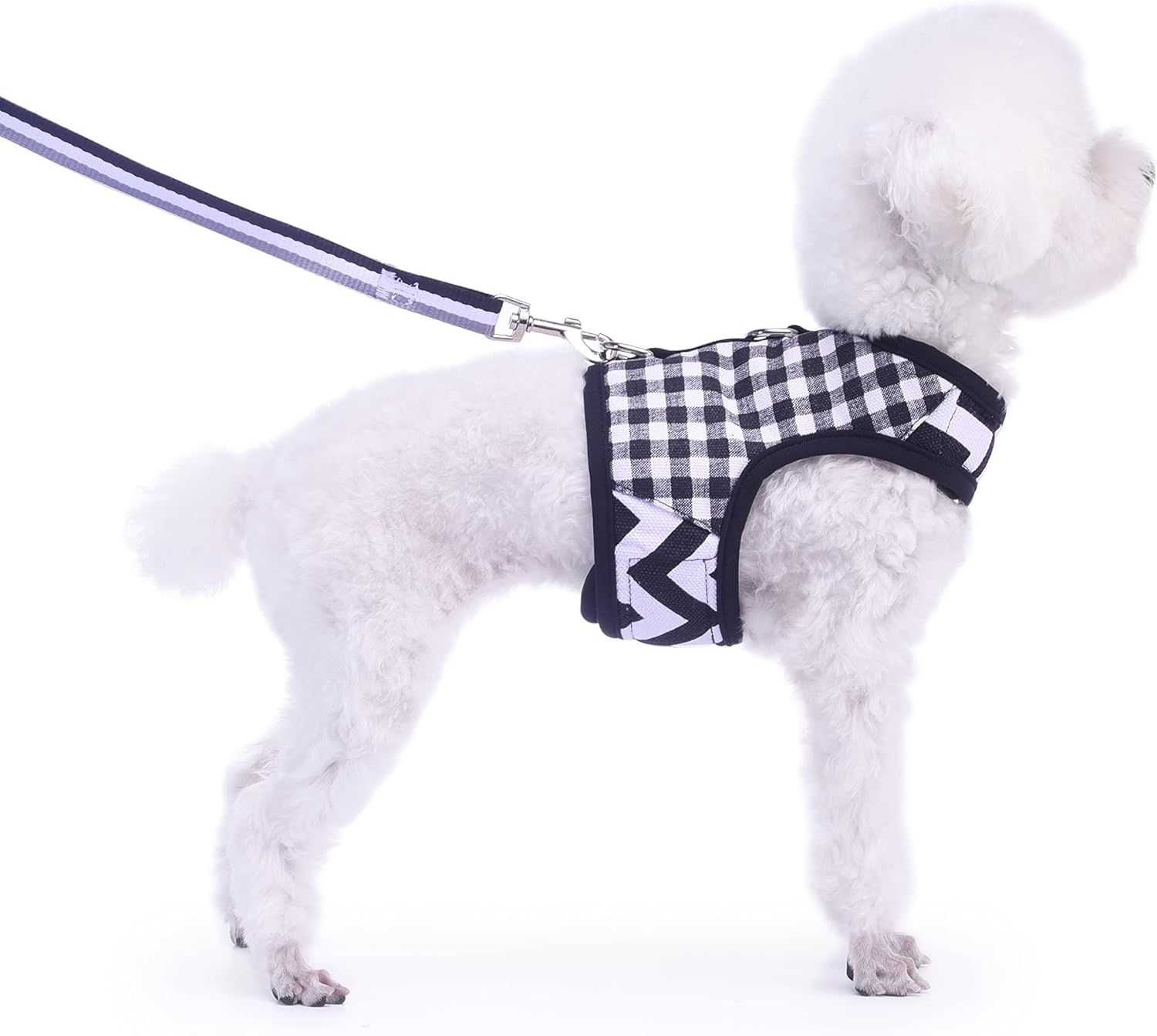 Small Dog Harness and Leash Set Small Pet Harness for Winter, Adjustable Soft Padded Dog Vest for Poodle, Pomeranian, Chihuahua, Minlature Pinscher Under 13LBS, Polka Black