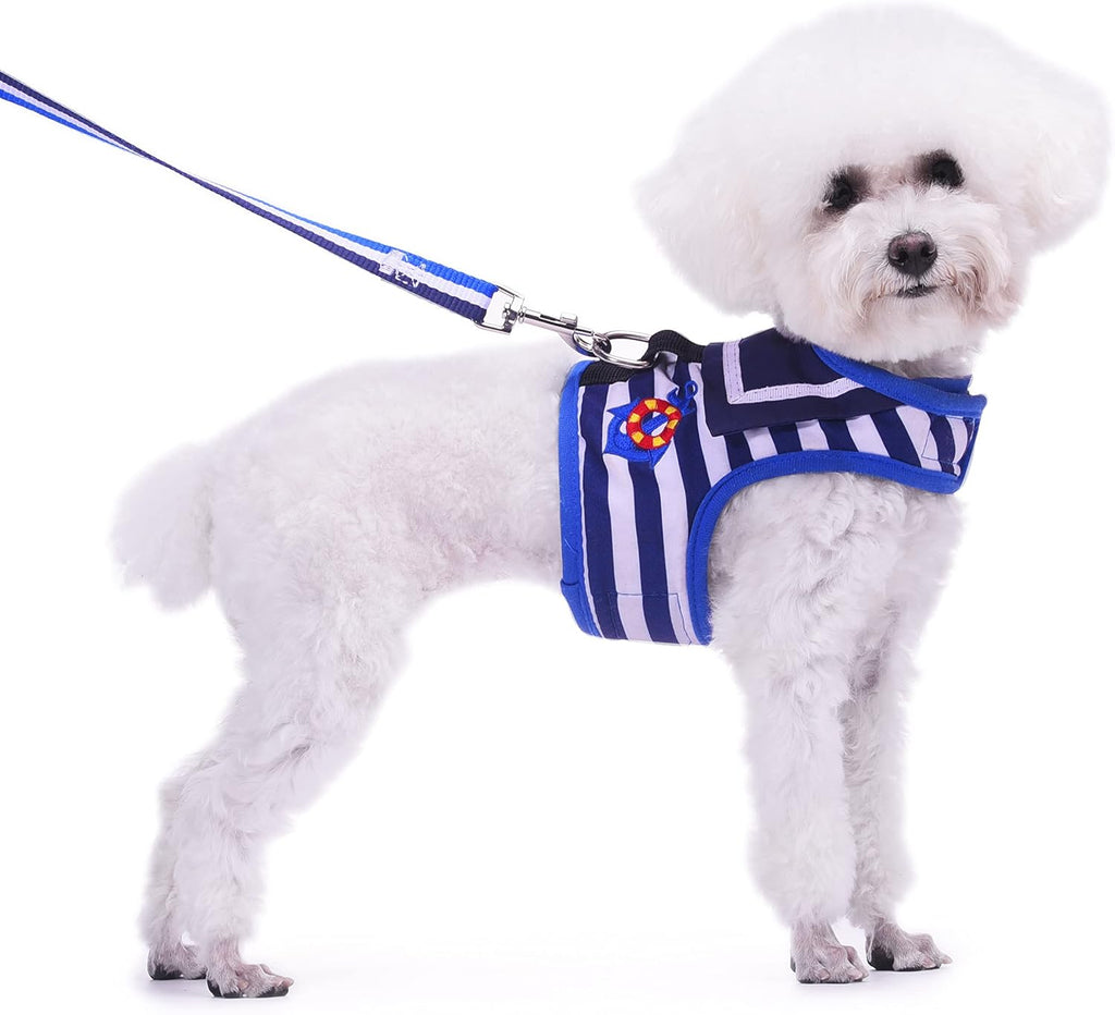 Small Dog Harness and Leash Set Small Pet Harness for Winter, Adjustable Soft Padded Dog Vest for Poodle, Pomeranian, Chihuahua, Minlature Pinscher Under 13LBS, Polka Black