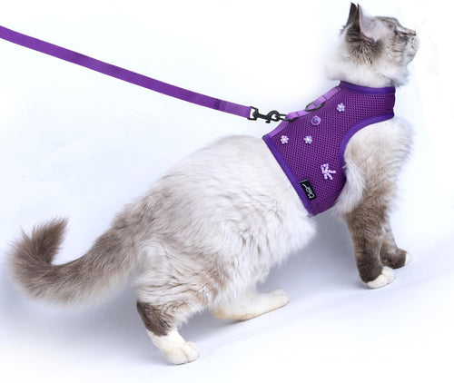 Cat Harness and Leash Set for Walking Escape Proof, Purple, Medium | No Over-the-head, Easy on or off, for Small to Average Cat Walks, Vest Style, Adjustable Hook and Loop, Soft, Lightweight