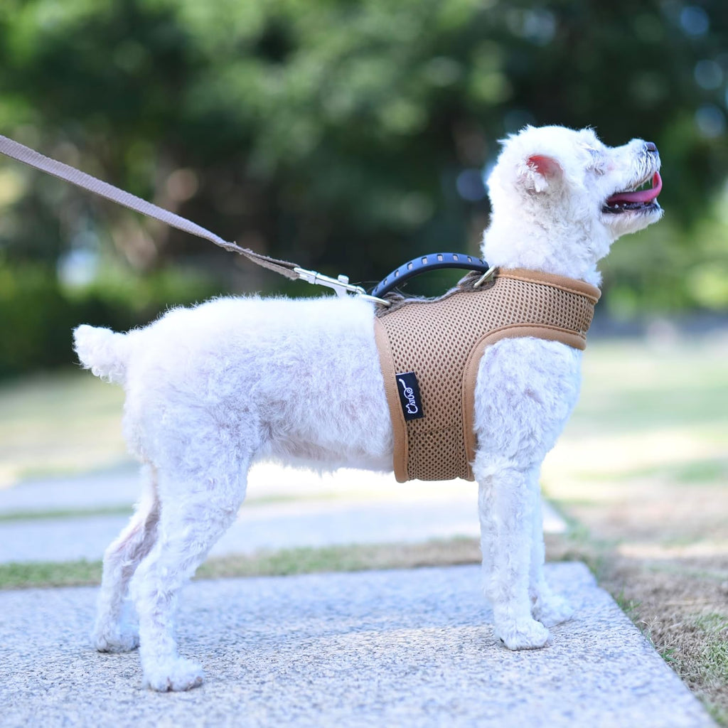 Small Dog Harness and Leash Set Small Pet Harness for Winter, Adjustable Soft Padded Dog Vest for Poodle, Pomeranian, Chihuahua, Minlature Pinscher Under 13LBS, Polka Black