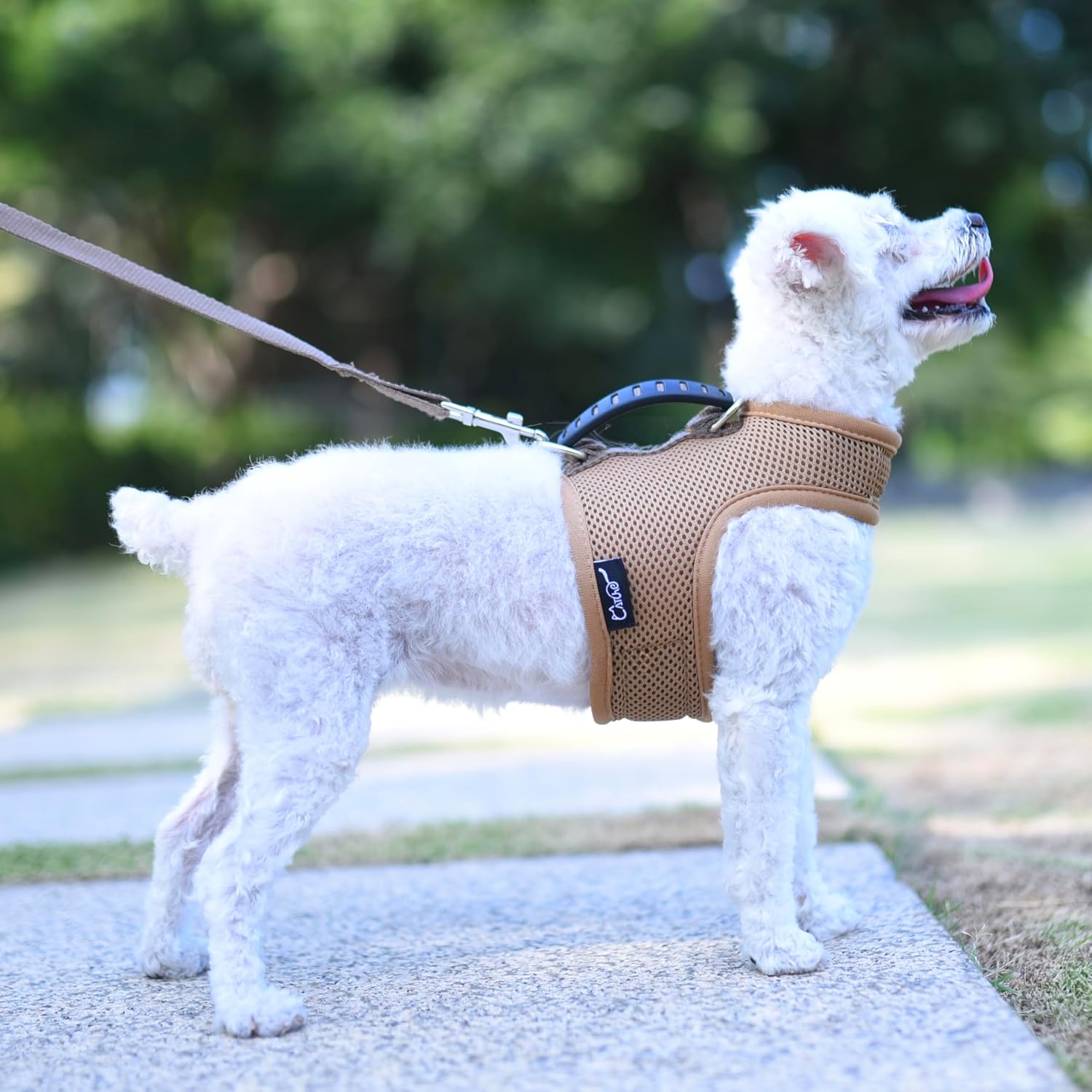Small Dog Harness and Leash Set Small Pet Harness for Winter, Adjustable Soft Padded Dog Vest for Poodle, Pomeranian, Chihuahua, Minlature Pinscher Under 13LBS, Polka Black