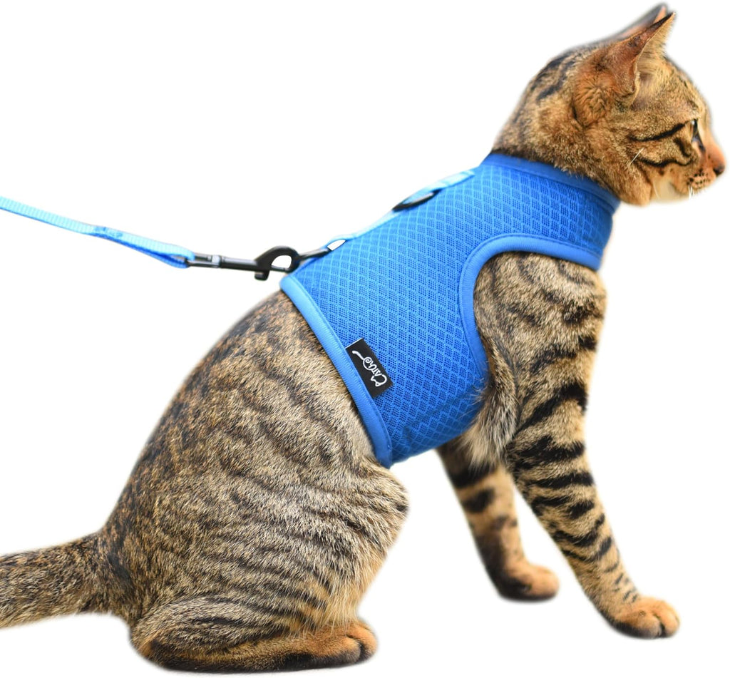 Cat Harness and Leash Set for Walking Escape Proof, Blue, Large | No Over-the-head, Easy on or off, for Average to Large Cat Walks, Vest Style, Adjustable Hook and Loop, Lightweight