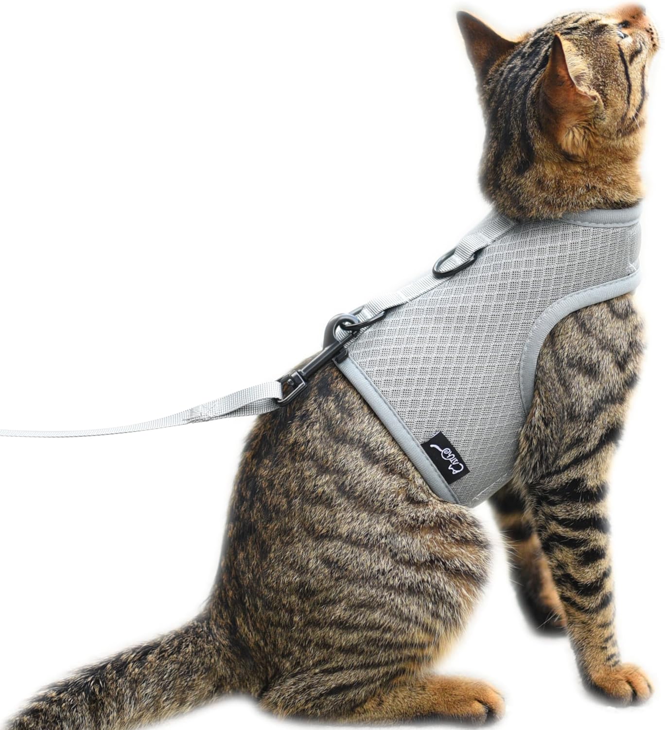 Cat Harness and Leash Set for Walking Escape Proof, Blue, Large | No Over-the-head, Easy on or off, for Average to Large Cat Walks, Vest Style, Adjustable Hook and Loop, Lightweight