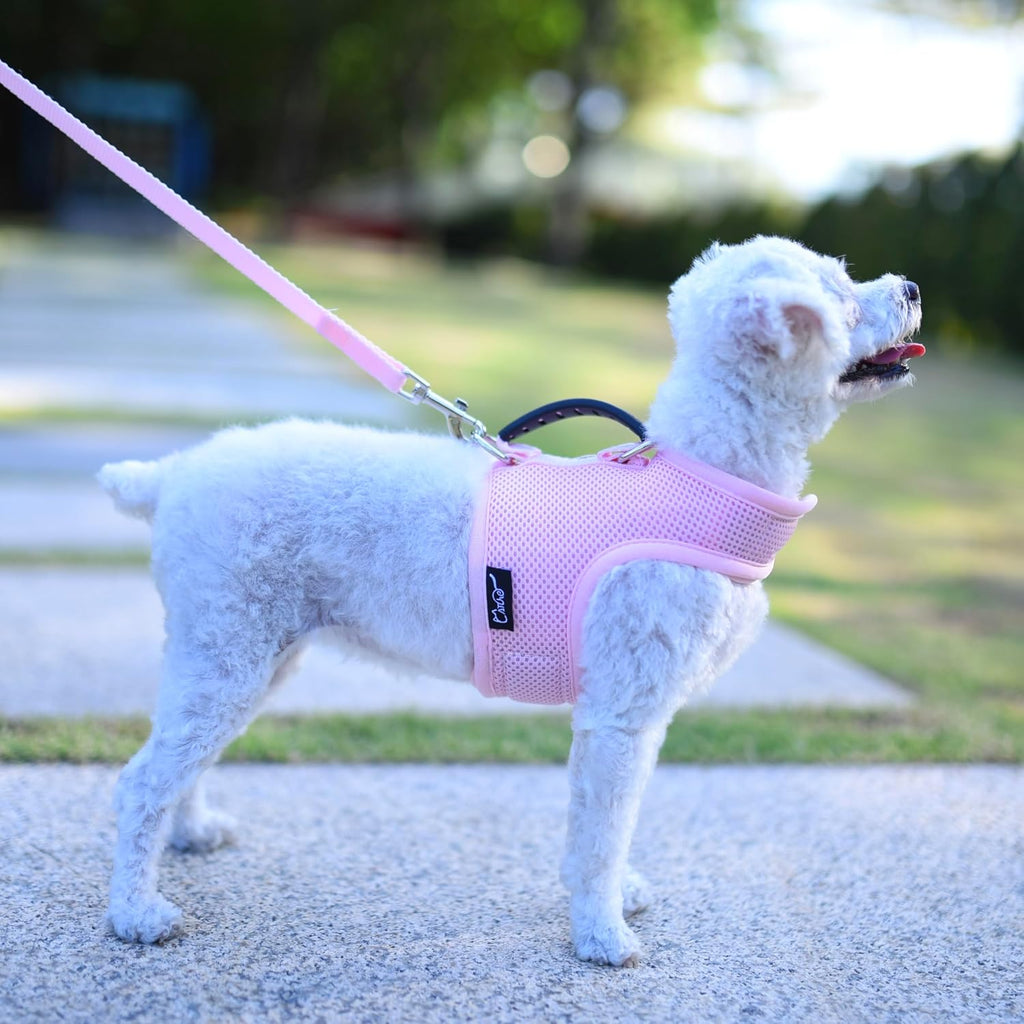 Small Dog Harness and Leash Set Small Pet Harness for Winter, Adjustable Soft Padded Dog Vest for Poodle, Pomeranian, Chihuahua, Minlature Pinscher Under 13LBS, Polka Black