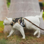 Camo Mesh Cat Harness And Leash Set