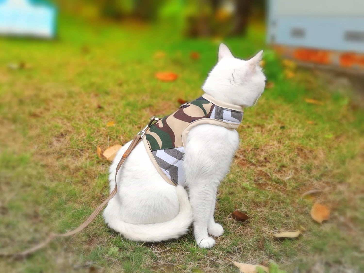 Camo Mesh Cat Harness And Leash Set