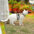 Camo Mesh Cat Harness And Leash Set