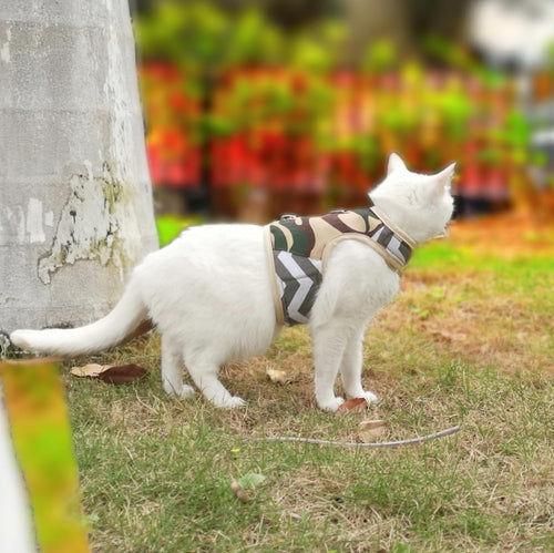 Camo Mesh Cat Harness And Leash Set
