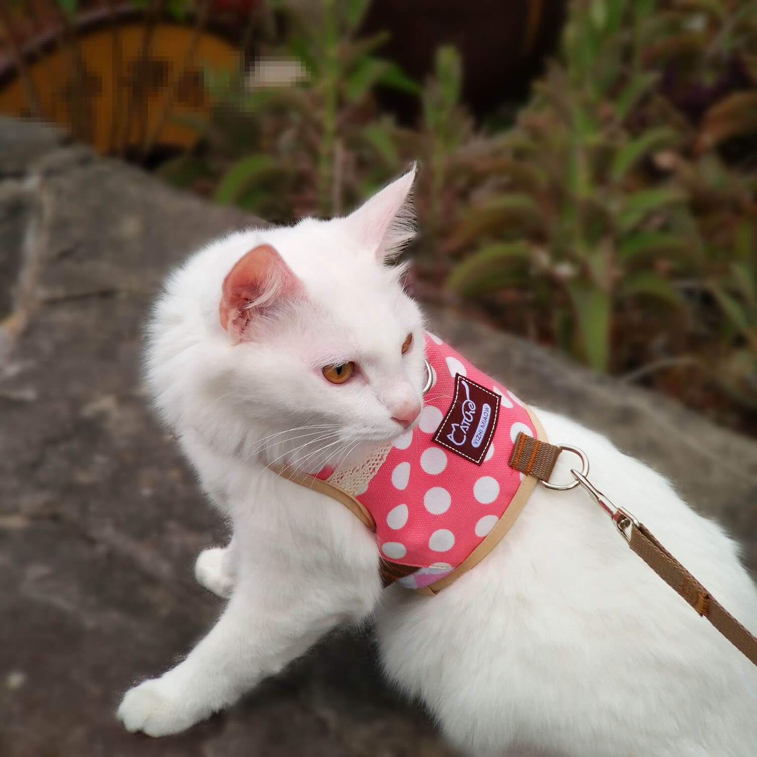 Polka-Dot Canvas Harness And Leash Set For Cats - Pink