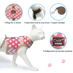 Polka-Dot Canvas Harness And Leash Set For Cats - Pink