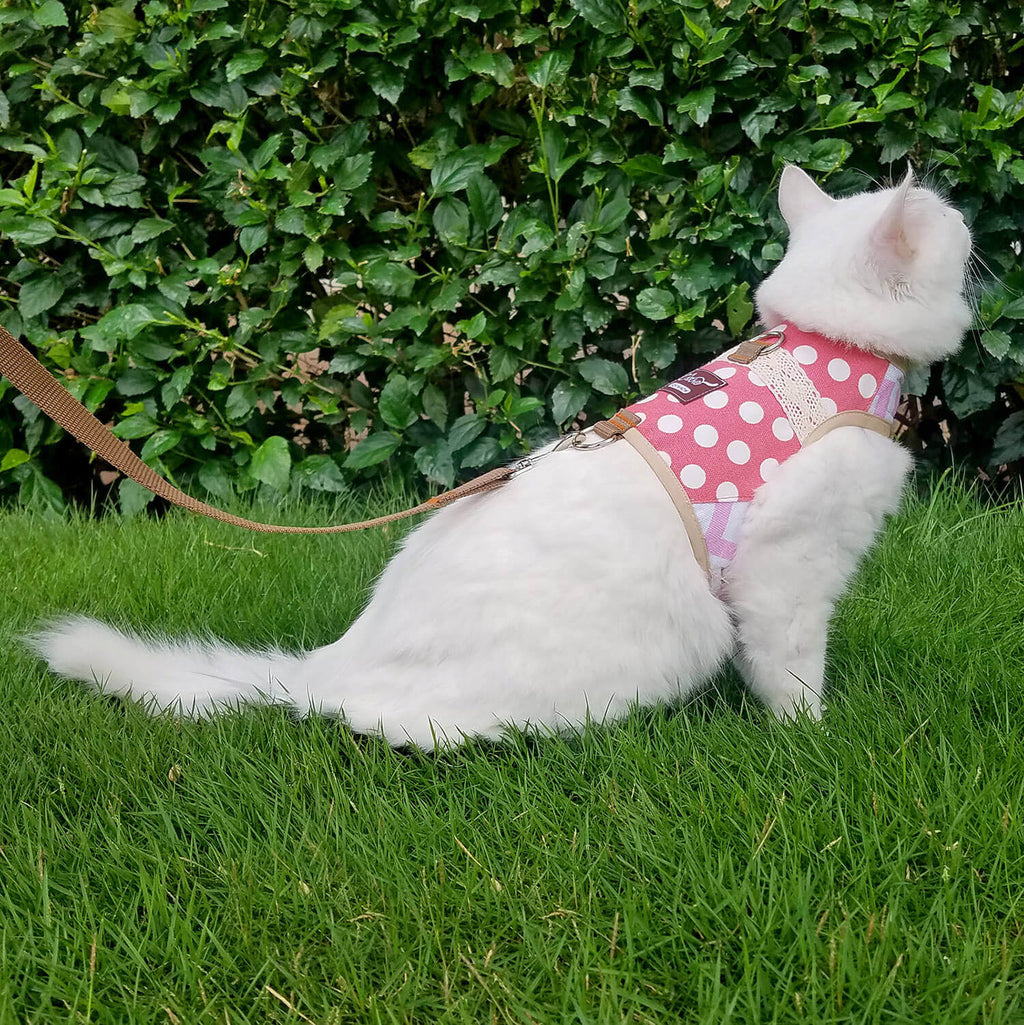 Polka-Dot Canvas Harness And Leash Set For Cats - Pink