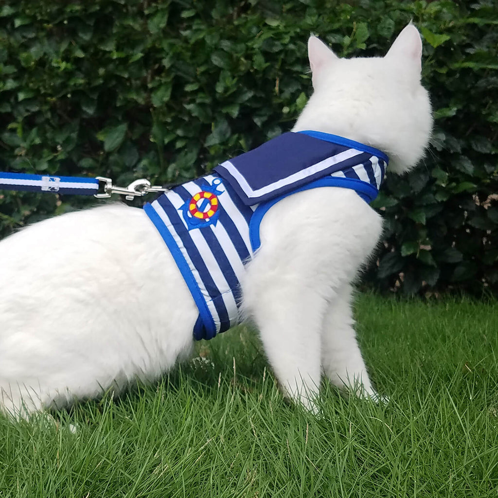 Nautical Style Cat Harness And Leash Set - Blue