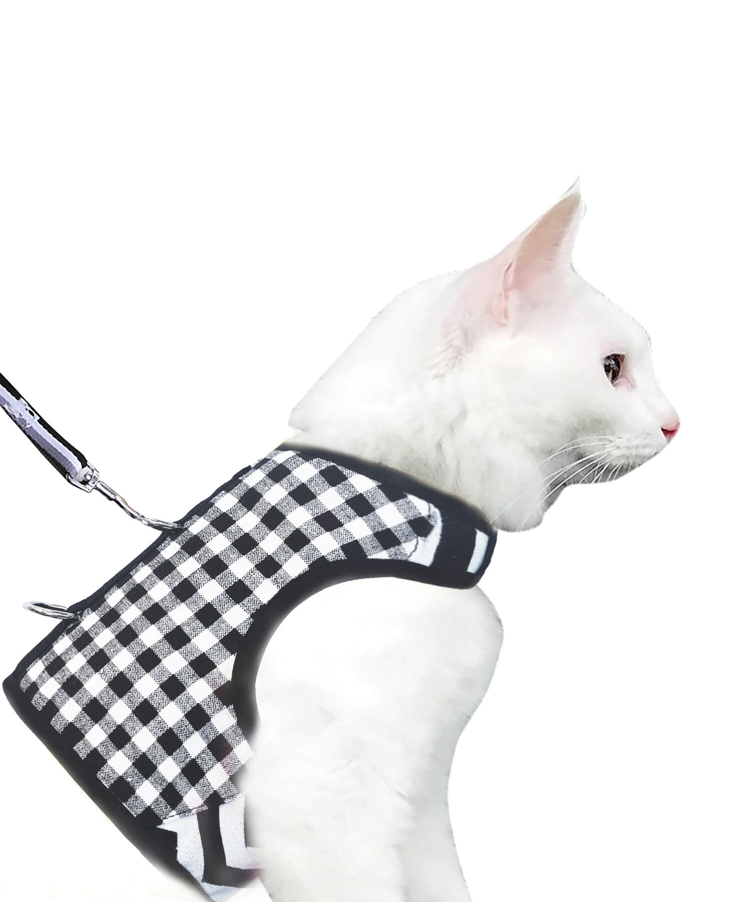 Plaid Canvas Cat Harness and Leash Set - Black