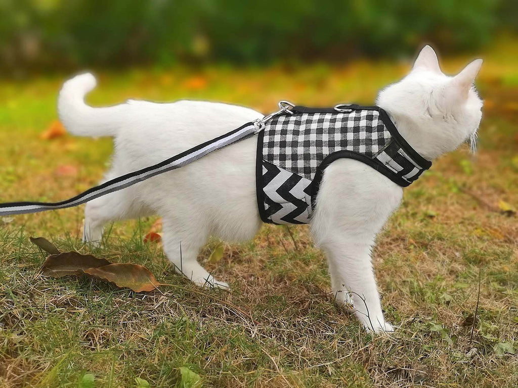 Plaid Canvas Cat Harness and Leash Set - Black