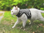 Plaid Canvas Cat Harness and Leash Set - Black