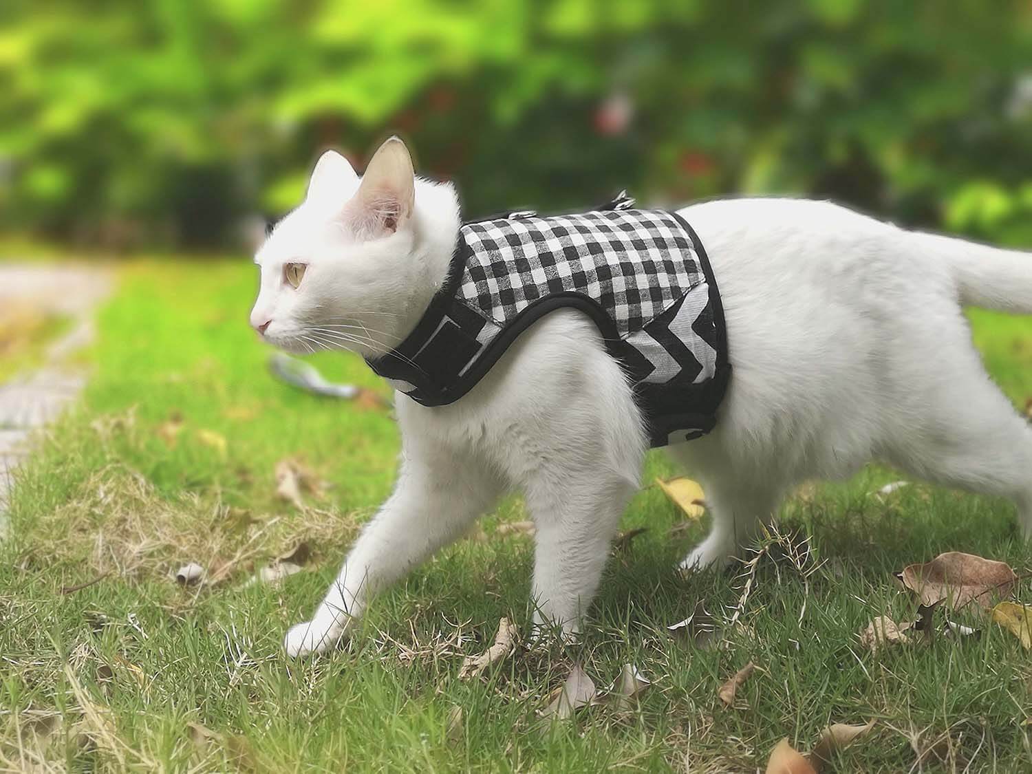 Plaid Canvas Cat Harness and Leash Set - Black