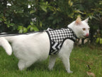 Plaid Canvas Cat Harness and Leash Set - Black