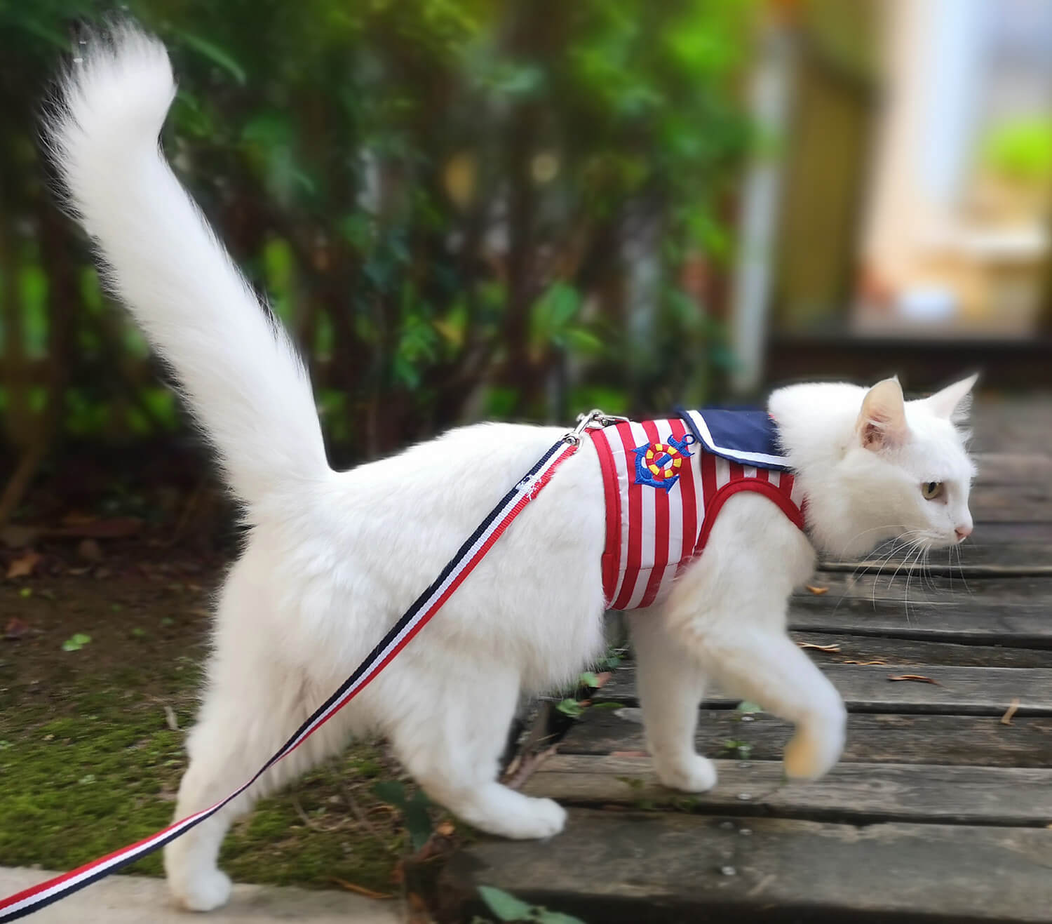 Nautical Style Cat Harness And Leash Set - Red