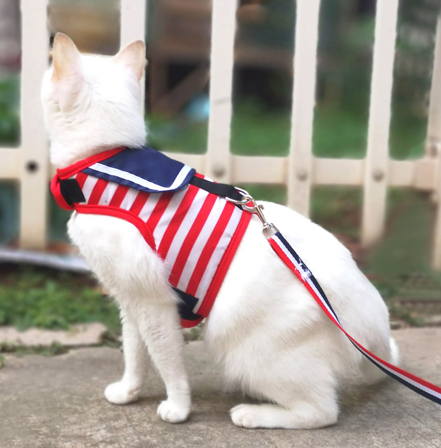 Nautical Style Cat Harness And Leash Set - Red