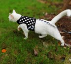 Polka-Dot Canvas Harness And Leash Set For Cats - Black