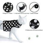 Polka-Dot Canvas Harness And Leash Set For Cats - Black