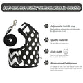 Polka-Dot Canvas Harness And Leash Set For Cats - Black