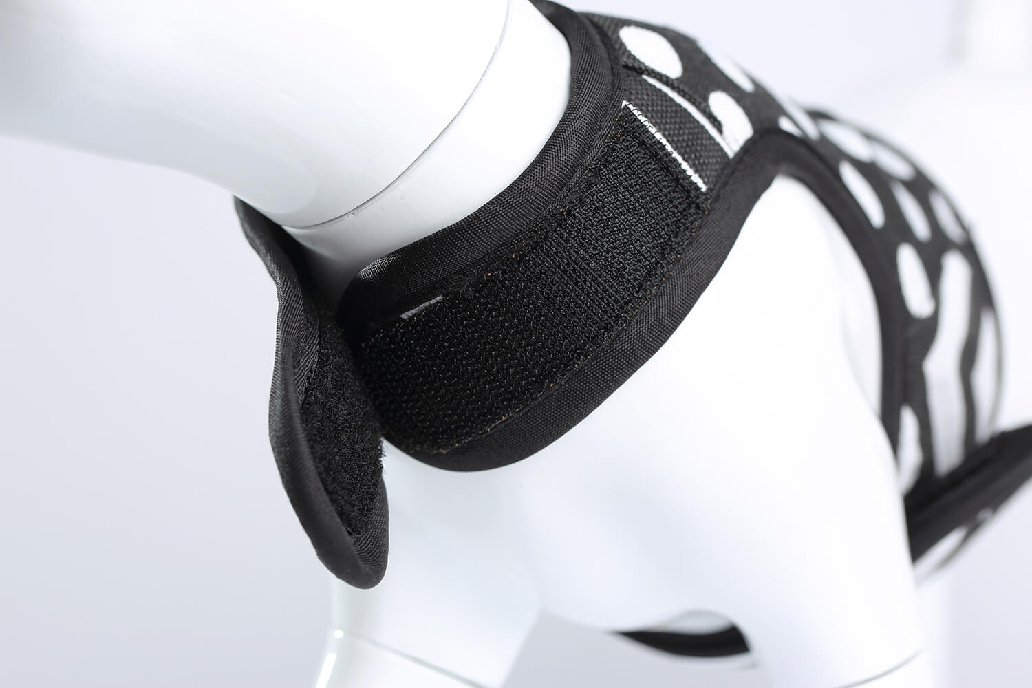 Polka-Dot Canvas Harness And Leash Set For Cats - Black