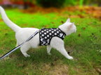 Polka-Dot Canvas Harness And Leash Set For Cats - Black