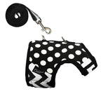 Polka-Dot Canvas Harness And Leash Set For Cats - Black