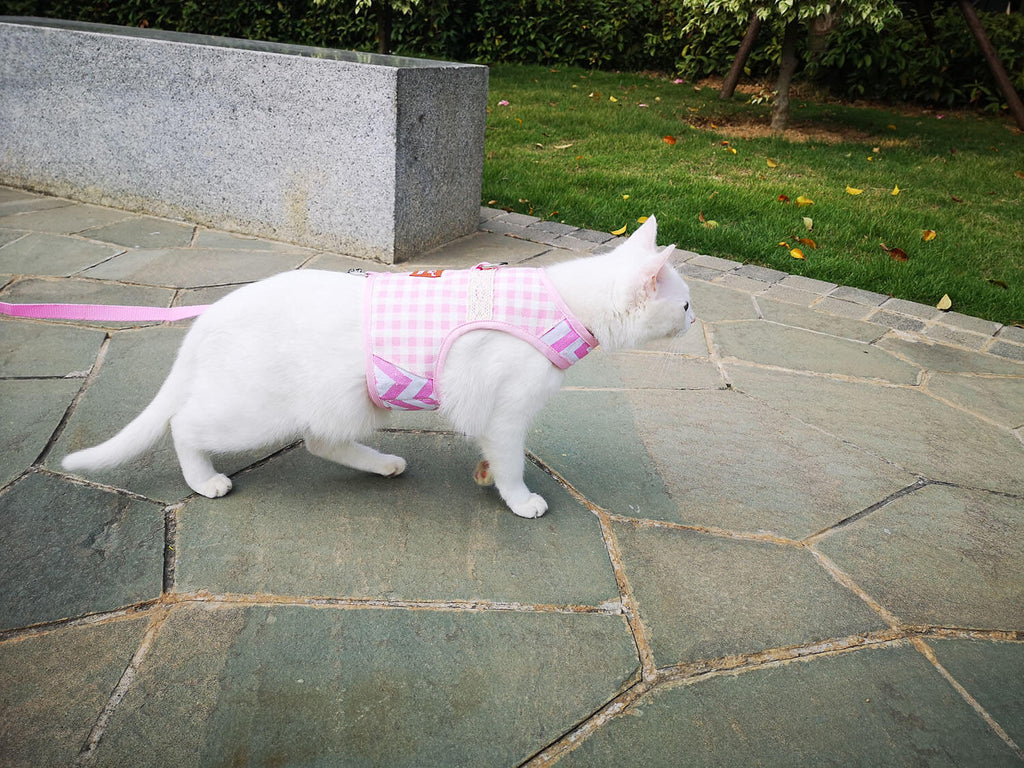 Plaid Canvas Cat Harness and Leash Set - Pink