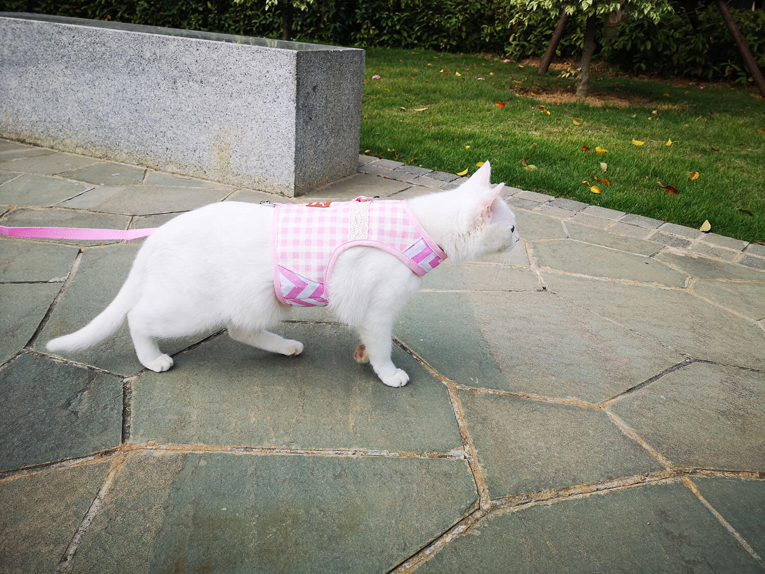 Plaid Canvas Cat Harness and Leash Set - Pink