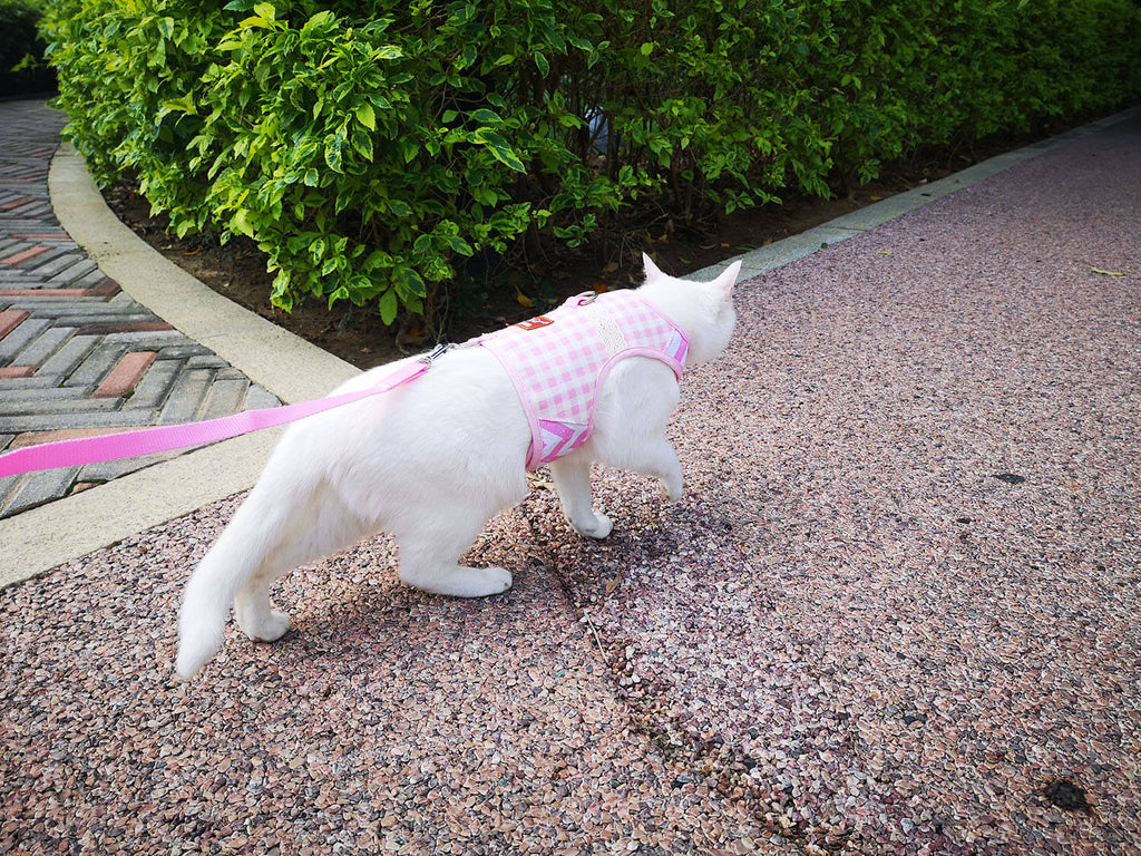Plaid Canvas Cat Harness and Leash Set - Pink