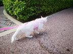 Plaid Canvas Cat Harness and Leash Set - Pink